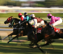 York Races, last furlong