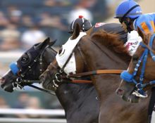 York Races, photo finish