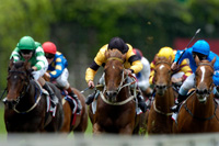 Ascot Races, racing 04