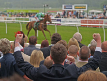 York Races, winner